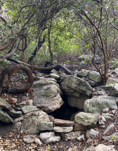 Foto: Francisco Evangelista