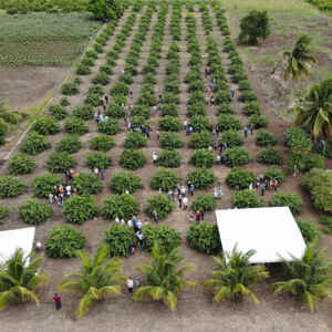 Projeto no Semiárido gera quase R$ 3 em benefícios para cada real investido Foto: Francisco Evangelista