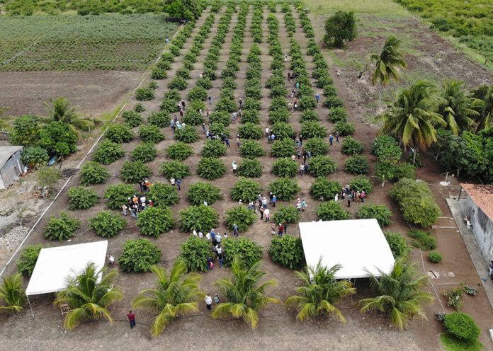 Foto: Francisco Evangelista