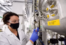 “Soberania verde”, por que o Brasil acelera o passo na criação de tecnologia própria Foto: GreenLight Biosciences