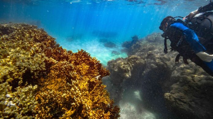 4xwzbl080hjptax27dlgyp78w Filipe Cadena/Fundação Grupo Boticário