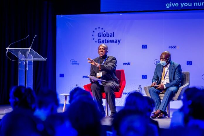 52169255061_5f93a1d7e4_o-768x512 Foto: EDD 2022