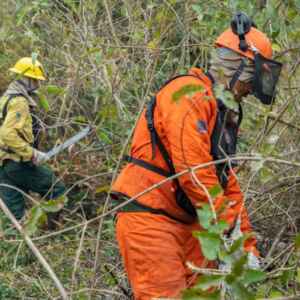 Brasil reduz queimadas em ano de calor extremo e reforça nova política ambiental Foto: Vitor Vasconcelos/Secom-PR