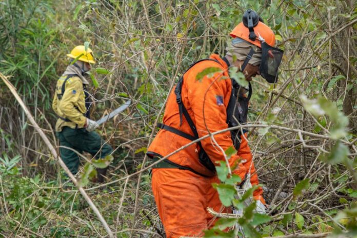 68fc0ed5-2d49-4938-96b9-72444852db3d Foto: Vitor Vasconcelos/Secom-PR