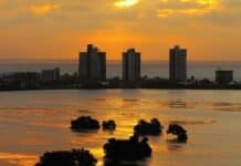 Maranhão abre inscrições para nova edição do programa Sem Queimadas São Luís Ma - Foto: Lyssuel Calvet