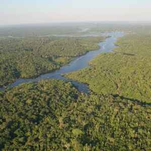 ProFloresta+ atrai 16 projetos e impulsiona restauração da Amazônia Foto: James Martins