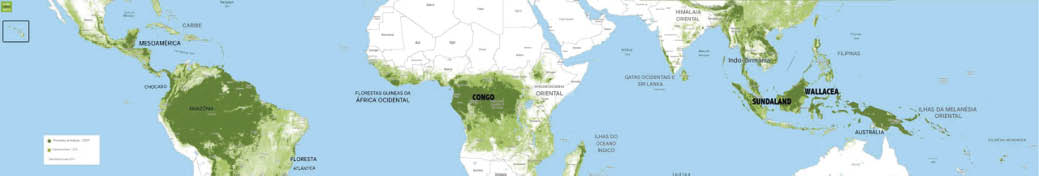 As florestas tropicais são um componente chave do sistema terrestre. Área: 1750 milhões de hectares (11,7% da superfície terrestre) - Reservatório total de carbono vegetal: 320 Pg C (52,0% carbono vegetal, 40% carbono atmosférico) - Florestas Tropicais Secundárias: Dinâmica de Distúrbios e Recuperação