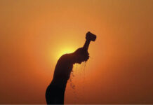 Marés de calor marinho atingem segunda maior marca histórica no último mês