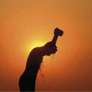 Marés de calor marinho atingem segunda maior marca histórica no último mês