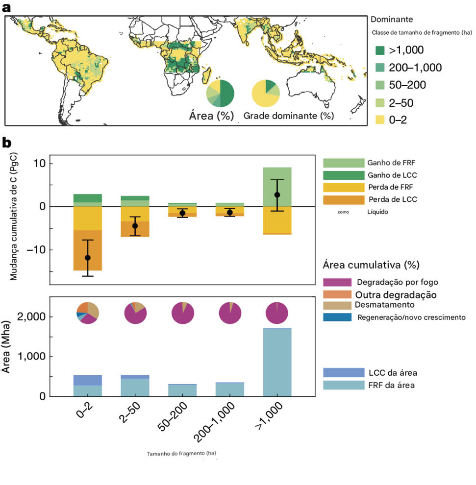 Distribuição espacial e as estatísticas de distúrbios de terra, como fogo e desmatamento, e seus impactos cumulativos nas mudanças de carbono e área em diferentes tamanhos de