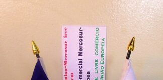 Acordo Mercosul-UE redesenha o futuro da agricultura familiar brasileira Foto: Rr Gimenez