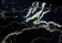 A floresta planejada: como o manejo ancestral moldou o futuro da Amazônia Foto: Coordenação-Geral de Observação da Terra