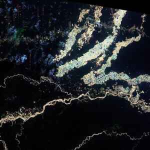 A floresta planejada: como o manejo ancestral moldou o futuro da Amazônia Foto: Coordenação-Geral de Observação da Terra