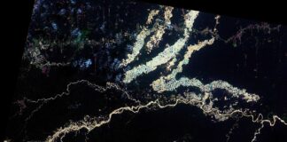 A floresta planejada: como o manejo ancestral moldou o futuro da Amazônia Foto: Coordenação-Geral de Observação da Terra