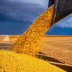 Acordo ambiental da soja perde força após decisão empresarial Reprodução