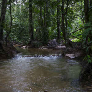 A cura dos igarapés: como o saneamento inteligente tenta resgatar a saúde da Amazônia Foto: Juliana Pesqueira/ Amazônia Real