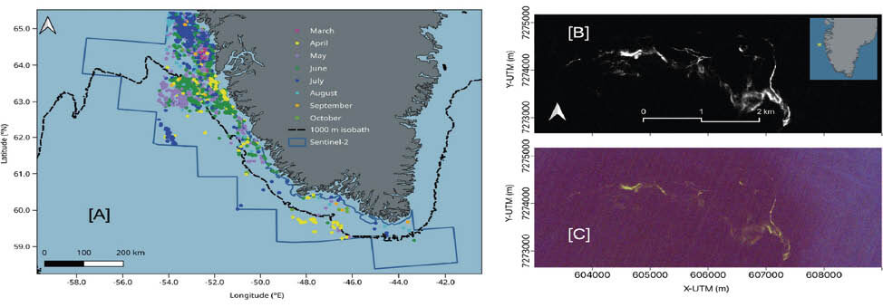 Imagens multiespectrais de alta resolu o do sat lite Sentinel 2 revelaram quase 8.000 manchas de . 1 e1769806642708