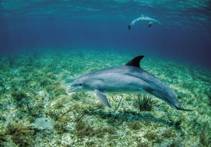 Iniciativas que visam combater a pesca ilegal, fortalecer as economias insulares