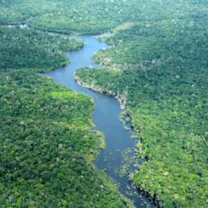 Amazonas registra menor número de alertas de desmatamento em oito anos Fotos: Divulgação/Ipaam