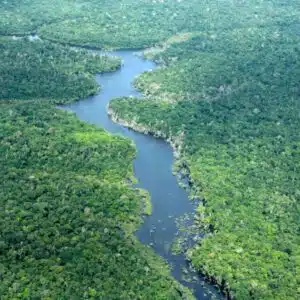 Amazonas registra menor número de alertas de desmatamento em oito anos Fotos: Divulgação/Ipaam
