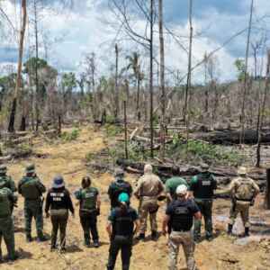 Operação Tamoiotatá aplica R$ 144,7 milhões em multas no Amazonas FOTOS: Arquivo/Ipaam