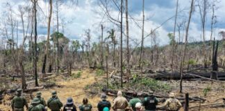 Operação Tamoiotatá aplica R$ 144,7 milhões em multas no Amazonas FOTOS: Arquivo/Ipaam