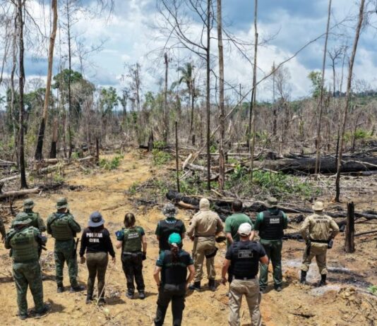 FOTOS: Arquivo/Ipaam