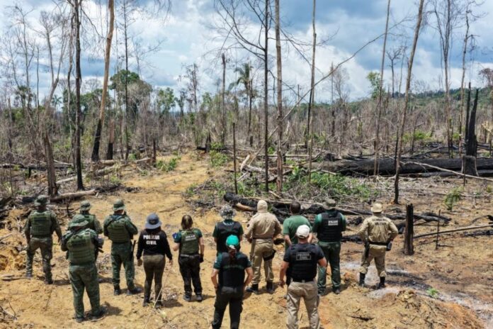 Ipaam_Balanco-da-Operacao-Tamoiotata-2025_Foto-1_Credito_Ipaam-Arquivo-30-12-2025-1024x683 FOTOS: Arquivo/Ipaam