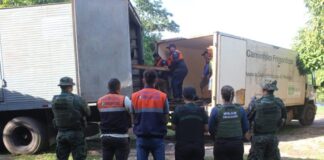 Ipaam abre cadastro para doação de bens apreendidos em fiscalizações ambientais FOTOS: Arquivo/Ipaam