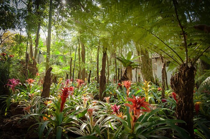 Foto: Parque das Aves