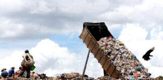 Brasil enterra R$ 14 bilhões por ano ao ignorar potencial da reciclagem Foto: Agência Brasil