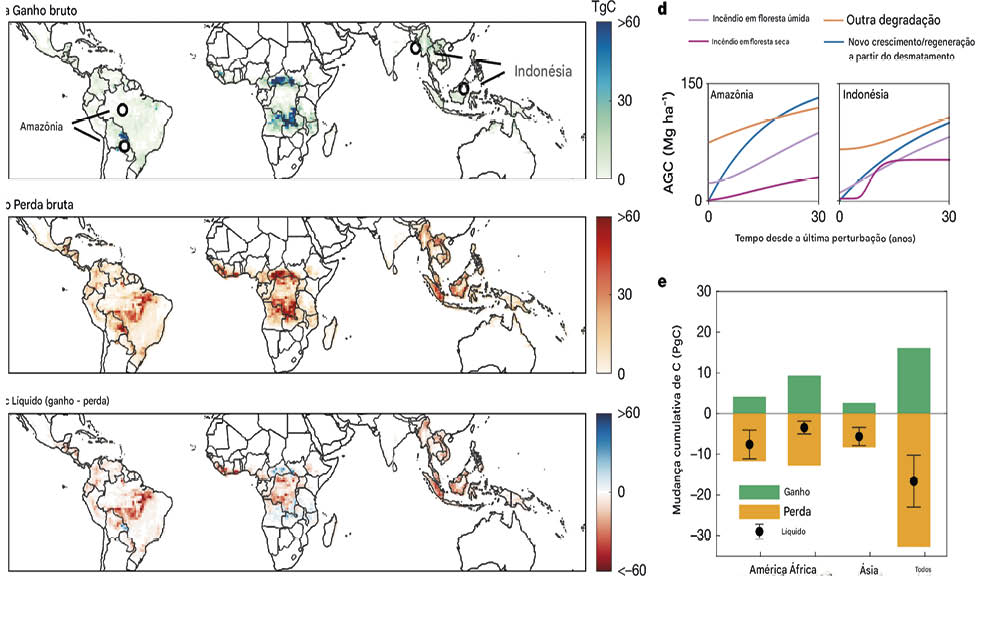 Mudanças no carbono florestal tropical global, mostrando ganhos, perdas e mudanças líquidas cumulativas de carbono em diferentes regiões e tipos de distúrbios.