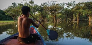 70ª Reunião Fundo Global para o Meio Ambiente – GEF O Conselho da GBFF aprovou um dos primeiros projetos a receber financiamento do novo Fundo Global para a Biodiversidade foi a Conservação da Biodiversidade em Terras Indígenas, uma iniciativa criada para apoiar os esforços dos povos indígenas do Brasil para gerir as terras sob seus cuidados de forma mais sustentável