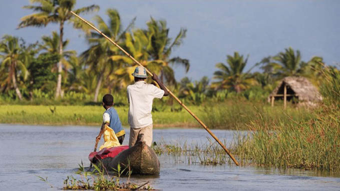 O GEF aprovou US$ 372 milhões para 36 programas e projetos em 59 países, impulsionando ações contra a perda de biodiversidade, as mudanças climáticas e a poluição