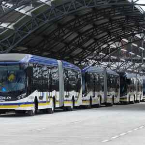 Cidades inteligentes na Amazônia buscam equilíbrio entre bits e biodiversidade Reprodução