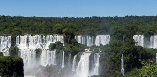 Comitê federal destina R$ 433 milhões para unidades de conservação no país Foto: Deni Williams