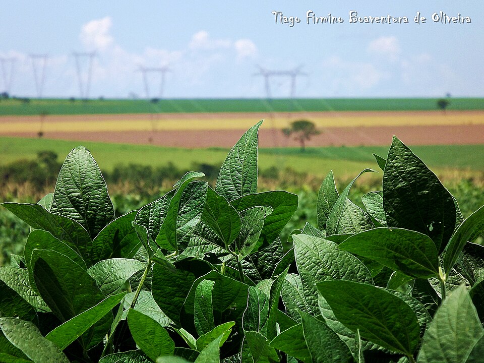 Foto: Deyvid Aleksandr Raffo Setti e Eloy Olindo Setti