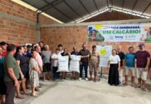 Calcário substitui fogo no campo e fortalece agricultura sustentável no Amazonas