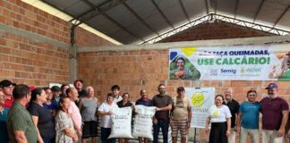 Calcário substitui fogo no campo e fortalece agricultura sustentável no Amazonas