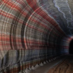 Amazônia entre fertilizantes e microrganismos invisíveis Reprodução - Reset