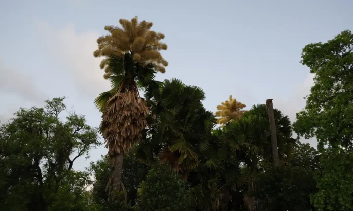 _d6a9635 Foto: Fernando Frazão/Agência Brasil