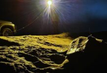 Brasil rastreia maior tartaruga marinha do mundo por satélite Foto: Divulgação/Ibama