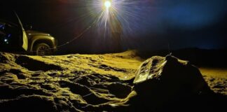 Brasil rastreia maior tartaruga marinha do mundo por satélite Foto: Divulgação/Ibama