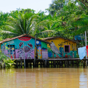 Hidrogênio verde e biofábricas são a nova aliança para salvar a Amazônia Foto: Rafael Medelima / COP30