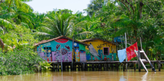 Hidrogênio verde e biofábricas são a nova aliança para salvar a Amazônia Foto: Rafael Medelima / COP30