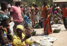 China amplia laços com a África enquanto enfrenta dilemas climáticos Reprodução - ONU