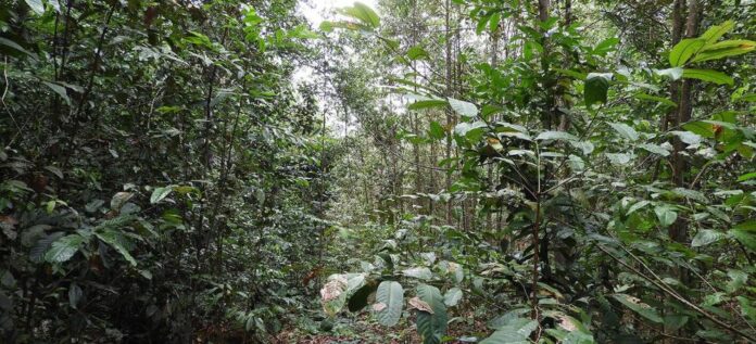 Reprodução - Petrobrás