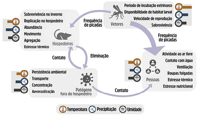 Diagrama conceitual da transmissão zoonótica com e sem vetor artrópode