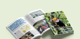 Revista Amazônia 149 Janeiro de 2026 e o retrato de um planeta em transformação Revista Amazônia 149 - Edição janeiro de 2026