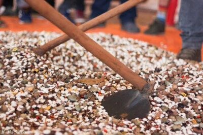 Divulgação - Sementes do Xingu